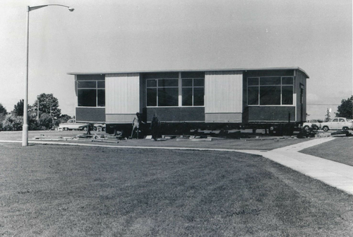 old-lab-2