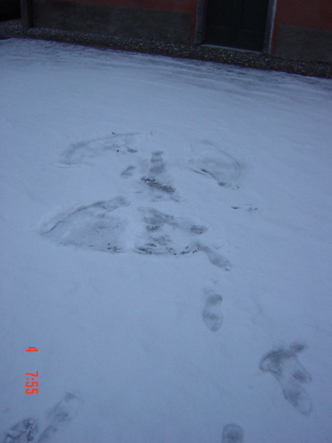 snowangel2